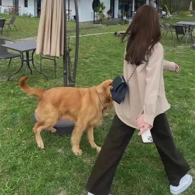 双胞胎保姆